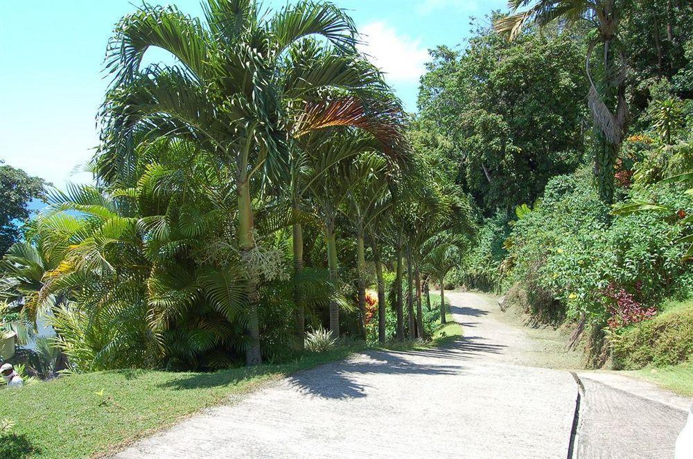 Sailfish Beach Villas Anse a La Mouche Экстерьер фото
